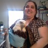 7-4-11 Daily Wildlife Picture Injured Bald Eagle.