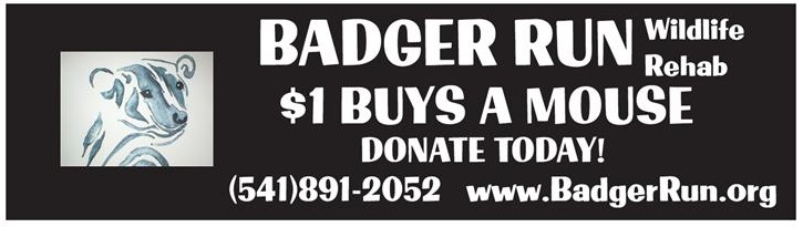 Badger Run Bumpersticker