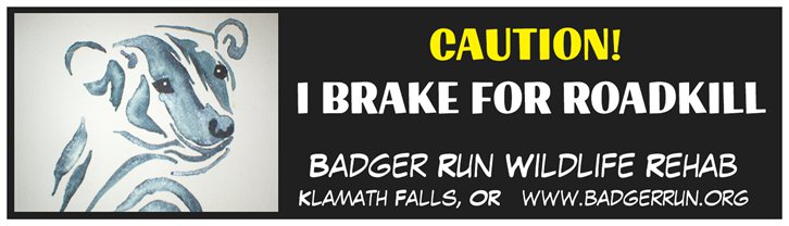 Badger Run Roadkill Bumpersticker (NEW!)